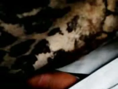 Dani Daniels är tillfredsställande kåta killar